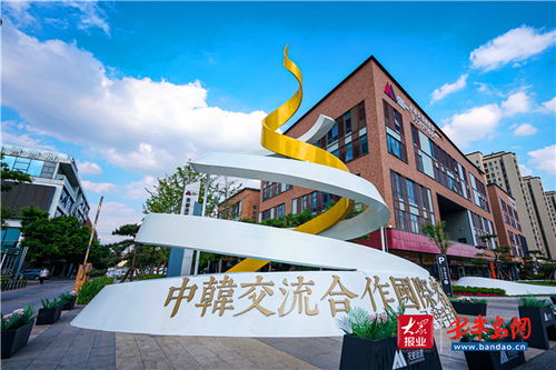 培植陽(yáng)光沃土 城陽(yáng)為金花成長(zhǎng)打造信息技術(shù)熱帶雨林