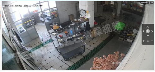 EasyCVR AI技術賦能食品加工廠管理透明化，筑牢食品安全網絡防線