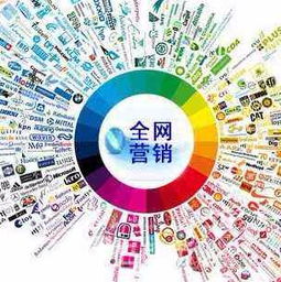 圖說易優信息科技 盤點SEO優化公司常見誤區，助力廣州網站建設推廣與信息技術發展