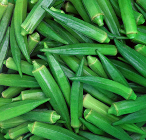 黃秋葵鮮果進(jìn)入采期 700畝種植基地穩(wěn)健產(chǎn)供，誠接干果及工廠訂單